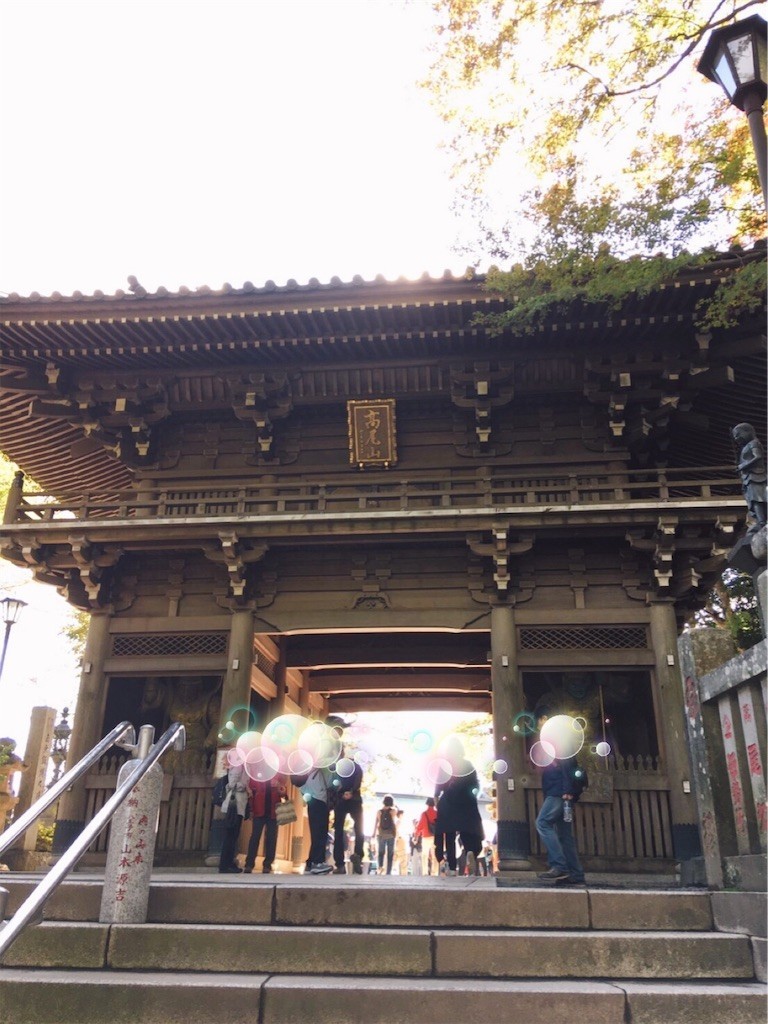 f:id:cheboo:20191116104334j:image