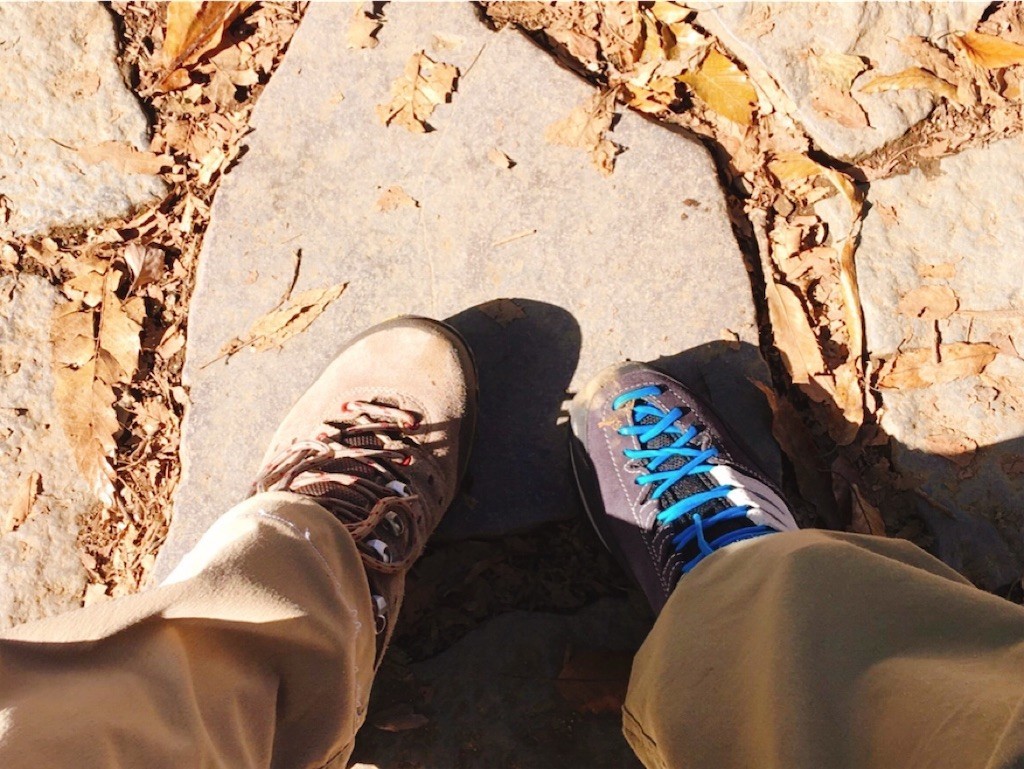 f:id:cheboo:20191116104344j:image