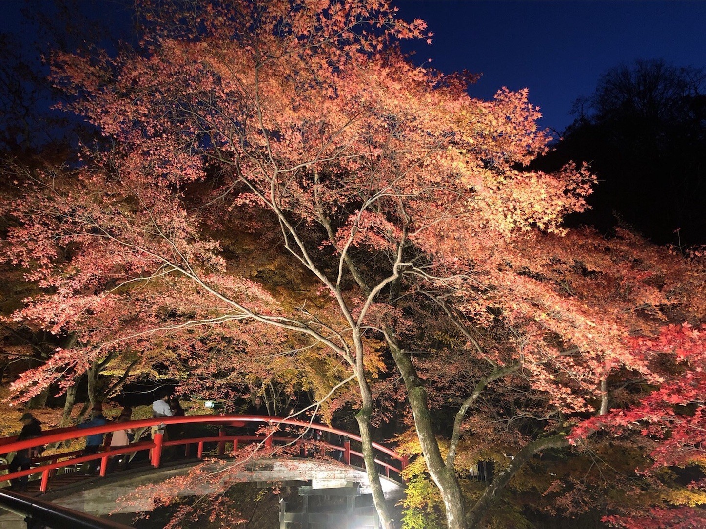 f:id:cheboo:20191116195859j:image