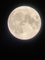 20201005190310