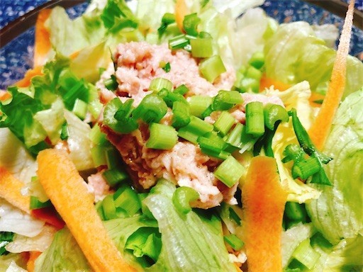 f:id:cheboo:20210606201525j:image f:id:cheboo:20210606201525j:image