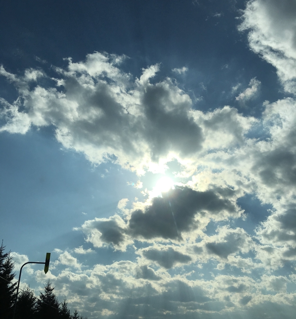 f:id:chee-812:20180917193833j:plain