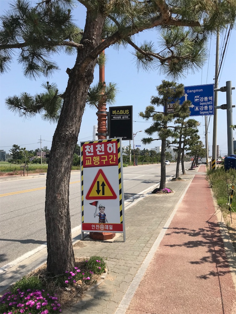 f:id:chee-tama:20180806205237j:image