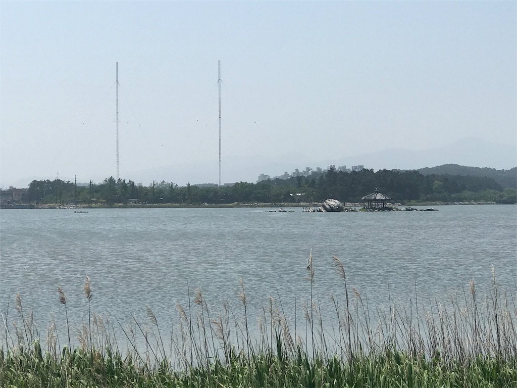 f:id:chee-tama:20180806205333j:image