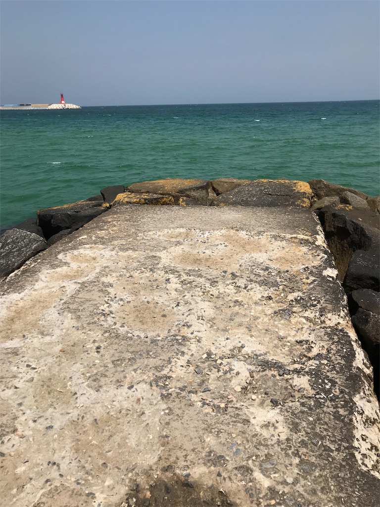 f:id:chee-tama:20180806210800j:image