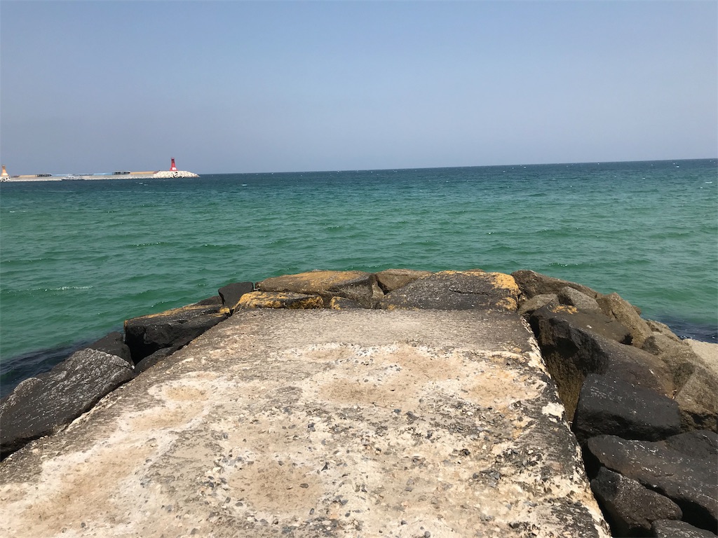 f:id:chee-tama:20180806234342j:image