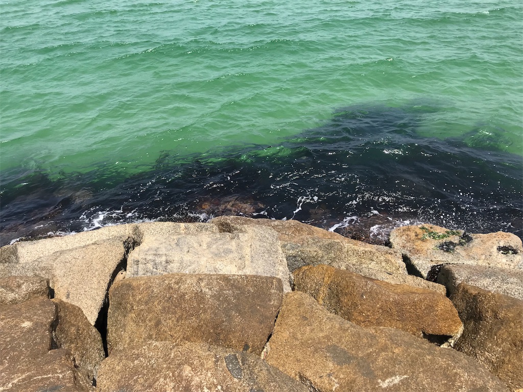 f:id:chee-tama:20180806234347j:image