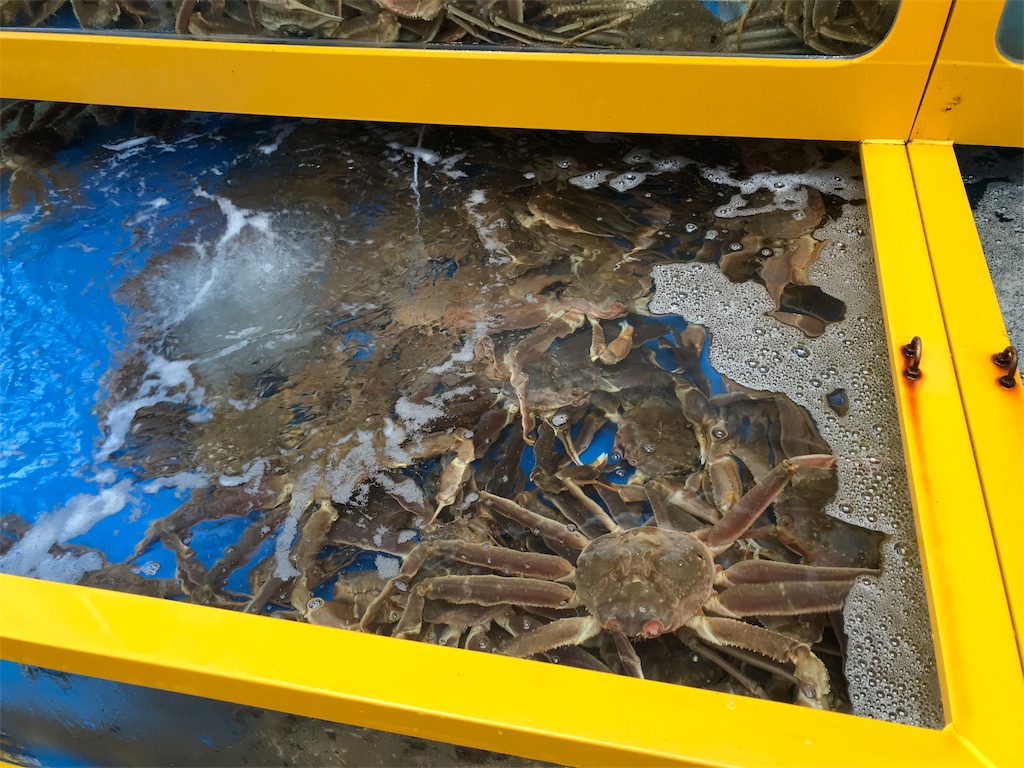 f:id:chee-tama:20180807001115j:image