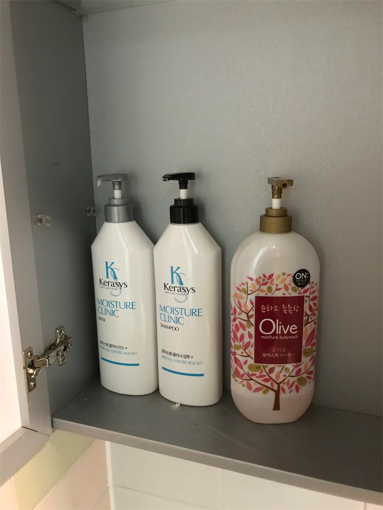 f:id:chee-tama:20180807003630j:image