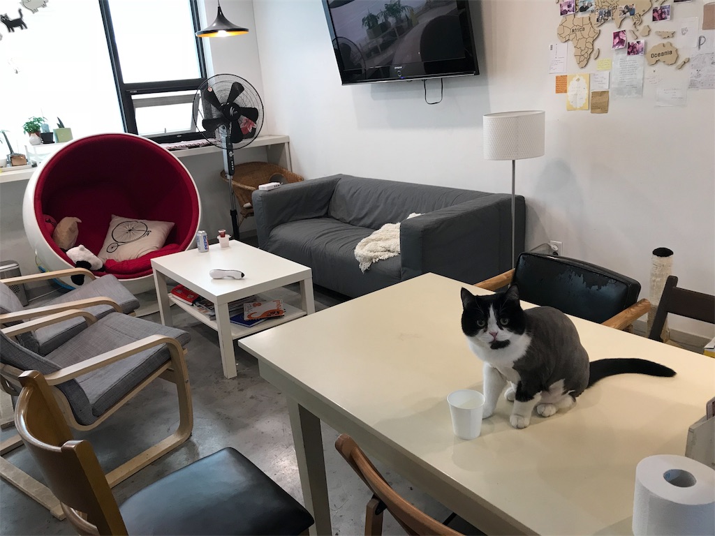 f:id:chee-tama:20180807004339j:image