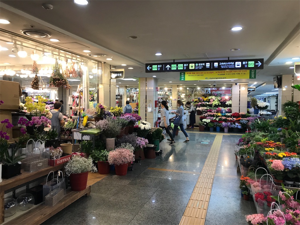 f:id:chee-tama:20180807005256j:image