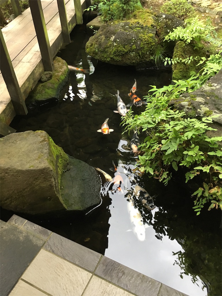 f:id:chee-tama:20181005220118j:image