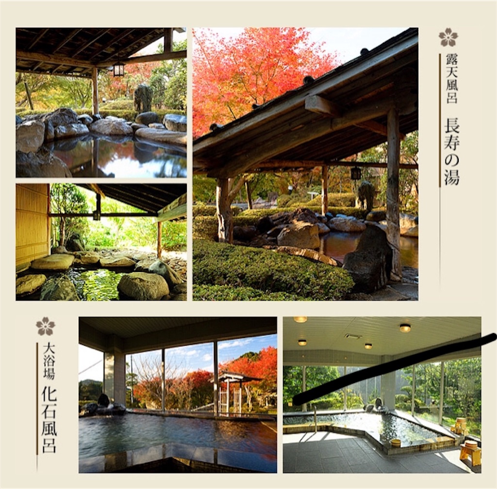 f:id:chee-tama:20181005223258j:image