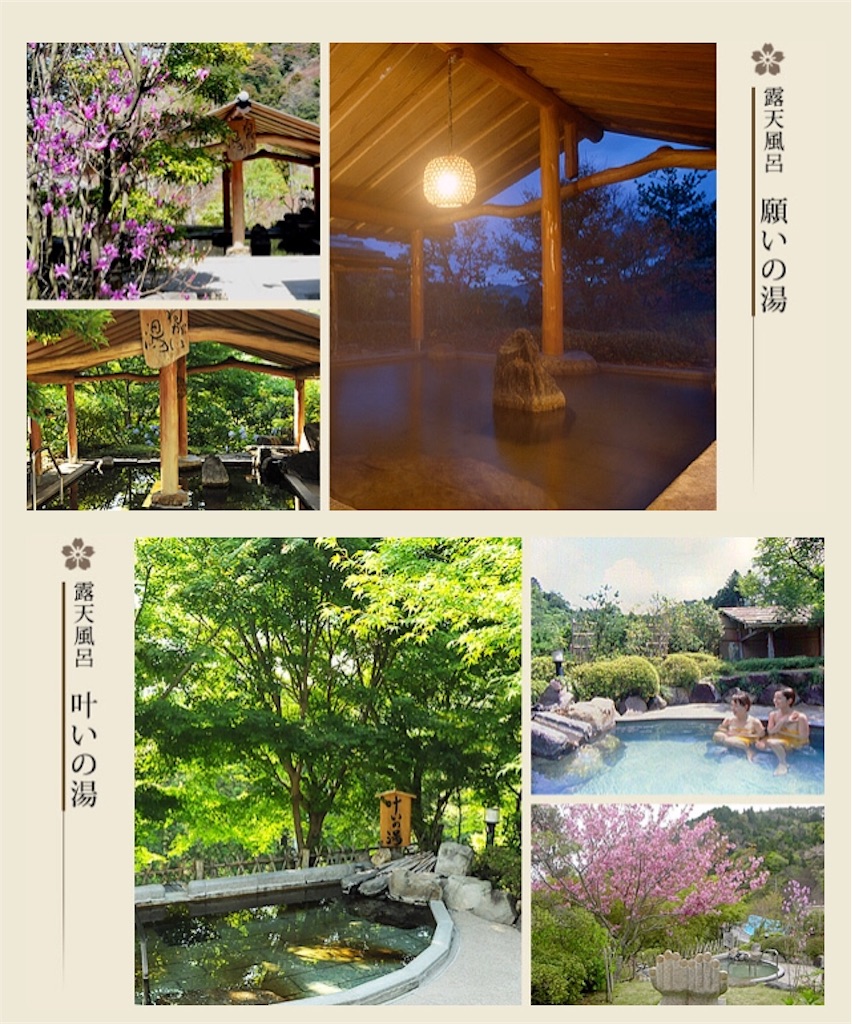 f:id:chee-tama:20181005223403j:image