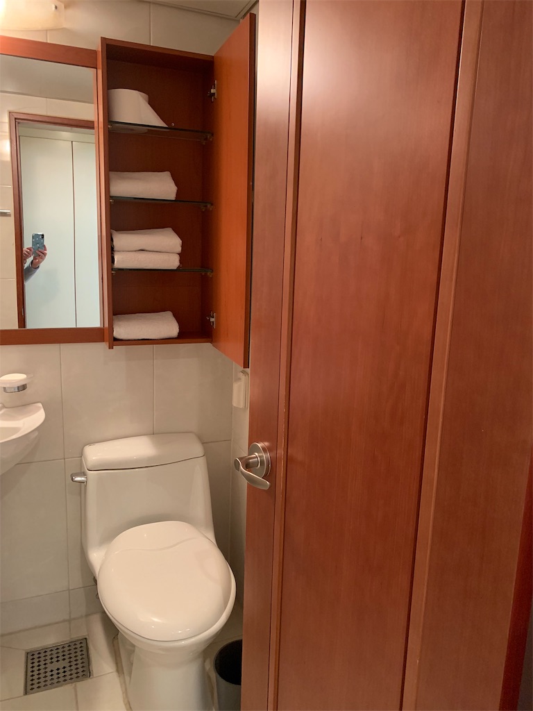 f:id:chee-tama:20190324020126j:image f:id:chee-tama:20190324020126j:image