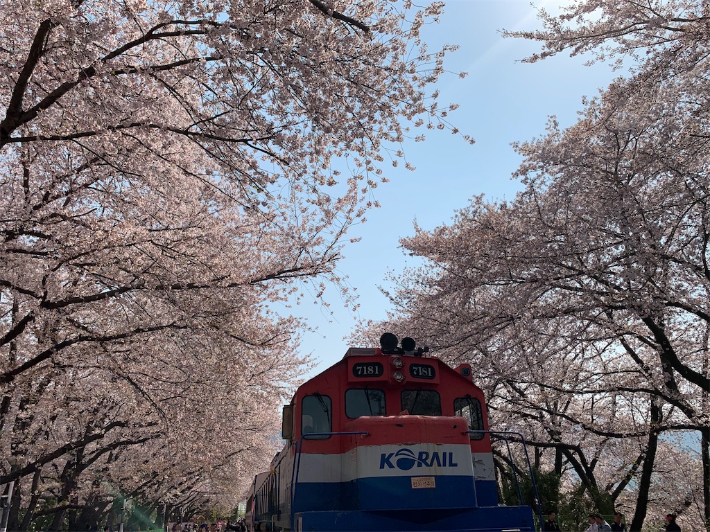 f:id:chee-tama:20190420192658j:image