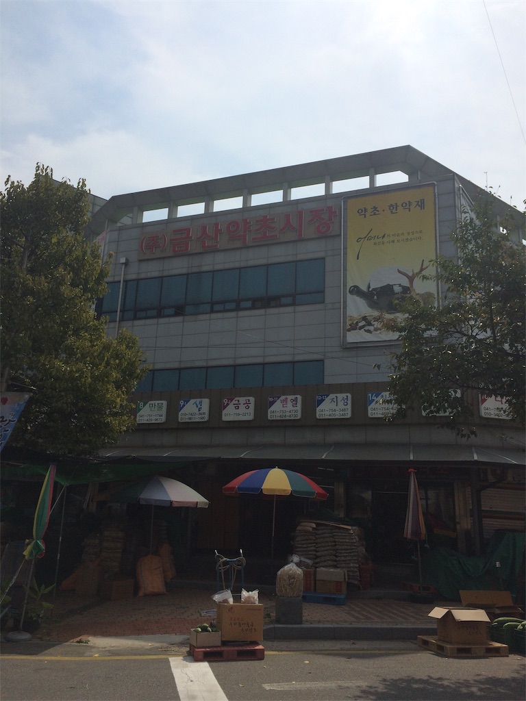 f:id:chee-tama:20190604000952j:image