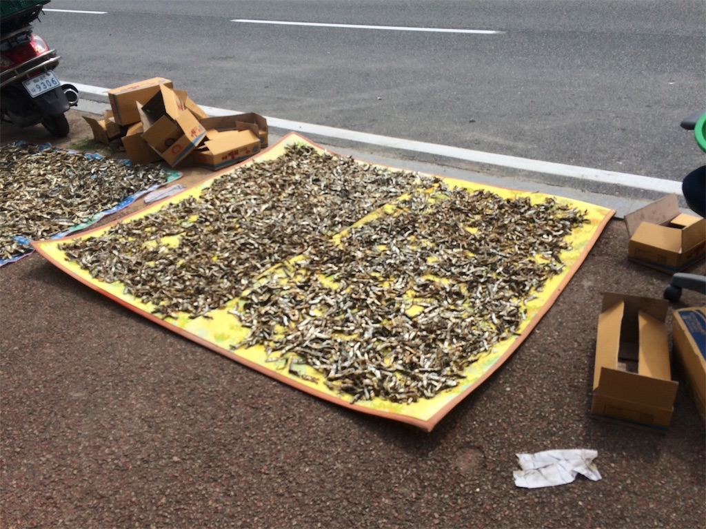 f:id:chee-tama:20190604001938j:image