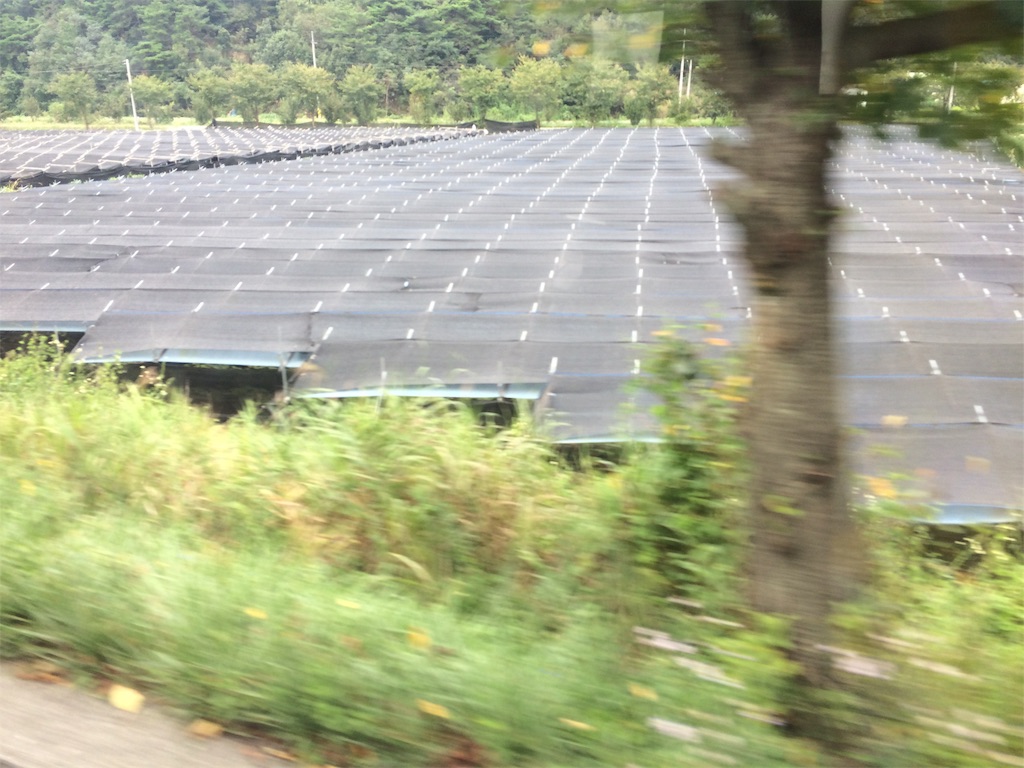 f:id:chee-tama:20190604002232j:image