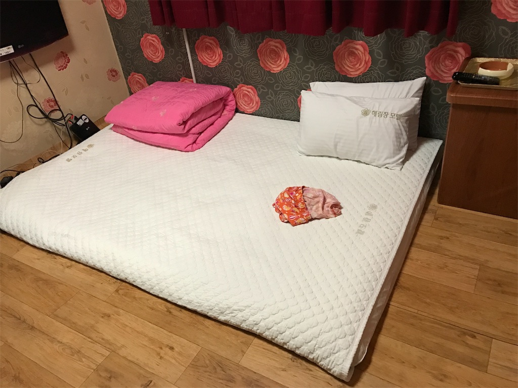 f:id:chee-tama:20190605002810j:image