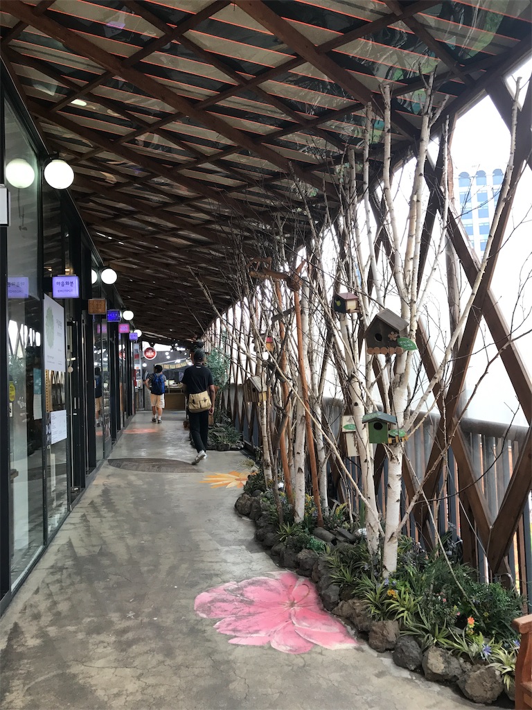 f:id:chee-tama:20190605232534j:image