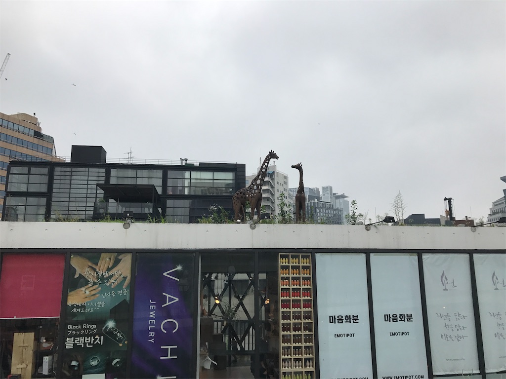 f:id:chee-tama:20190605232641j:image