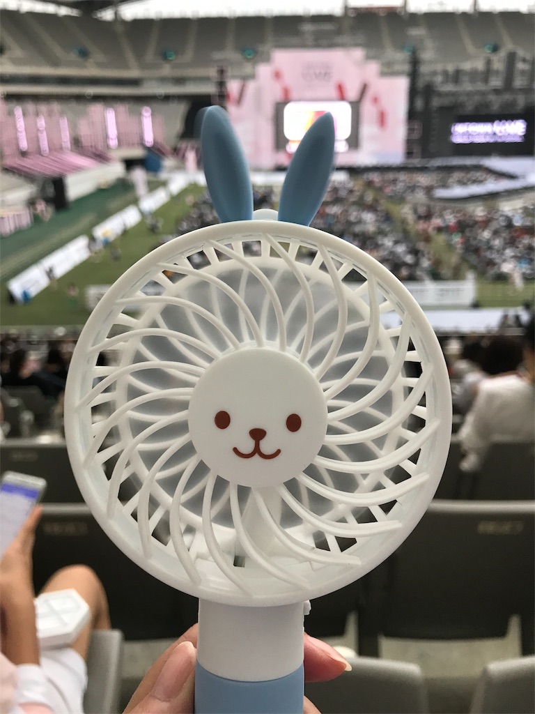 f:id:chee-tama:20190605234456j:image