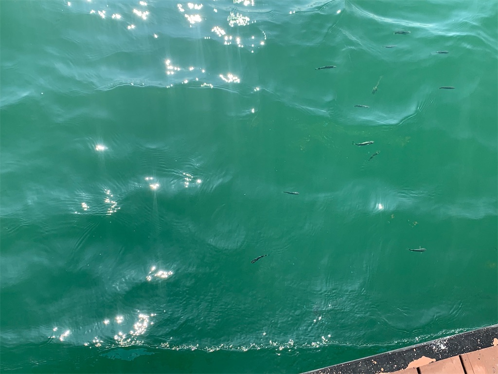 f:id:chee-tama:20191107211849j:image