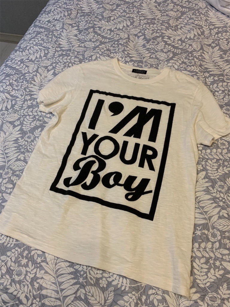 f:id:chee-tama:20191107214132j:image