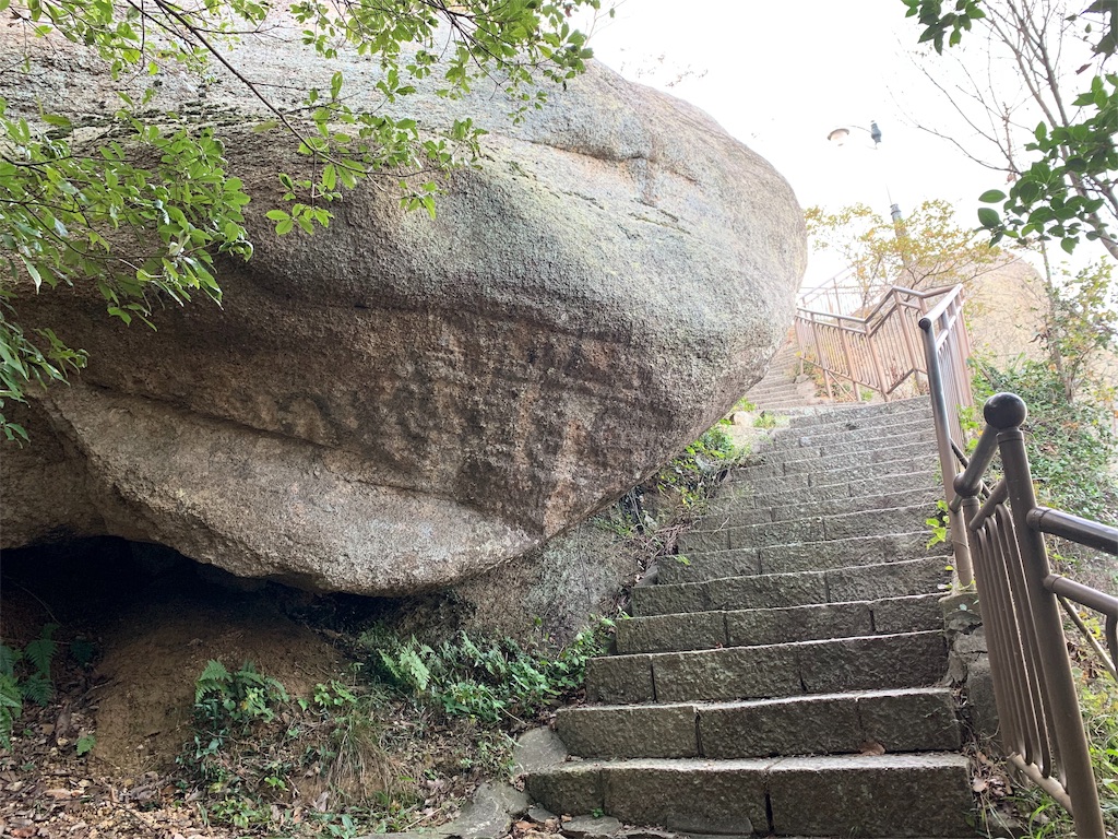 f:id:chee-tama:20191107215005j:image