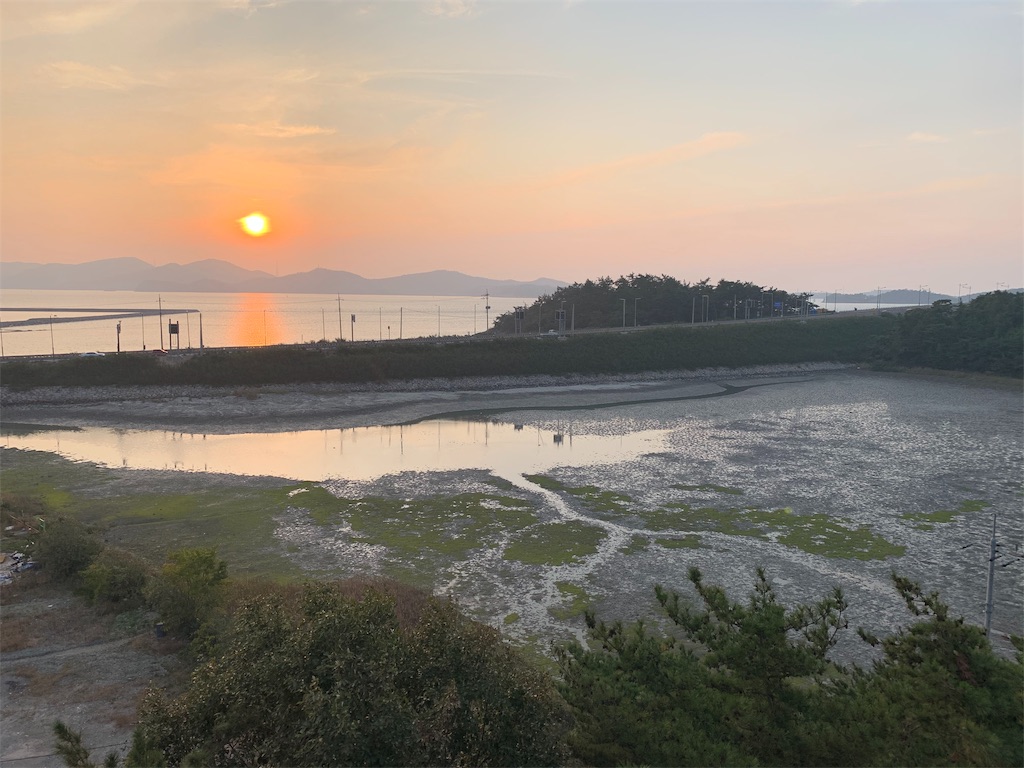 f:id:chee-tama:20191107220140j:image