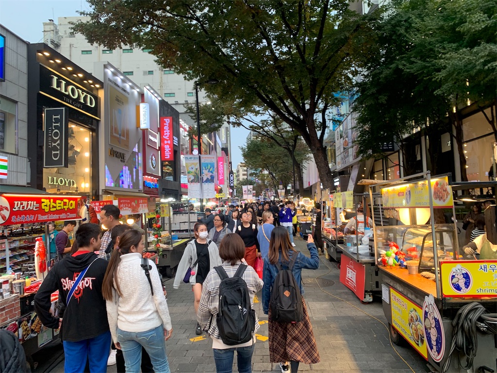 f:id:chee-tama:20191108002842j:image