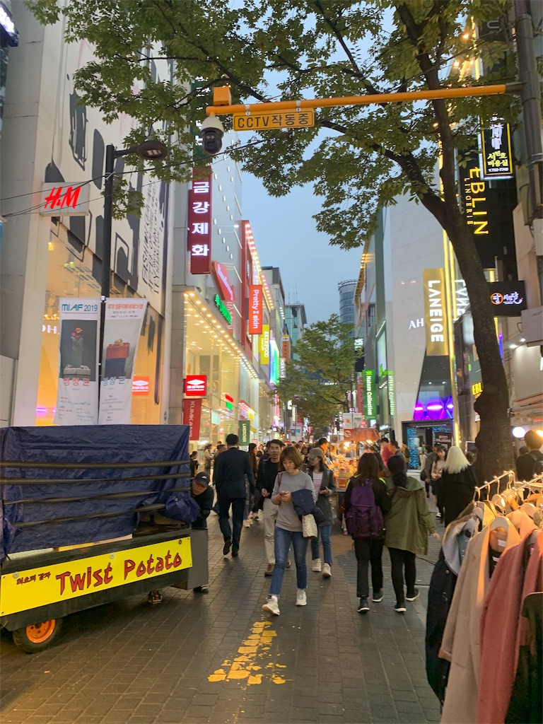 f:id:chee-tama:20191108002849j:image