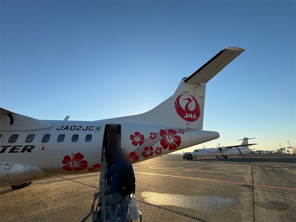 f:id:chee-tama:20231119004349j:image