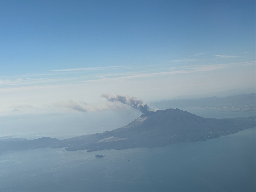 f:id:chee-tama:20231119010031j:image