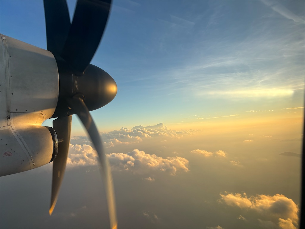 f:id:chee-tama:20231119015504j:image