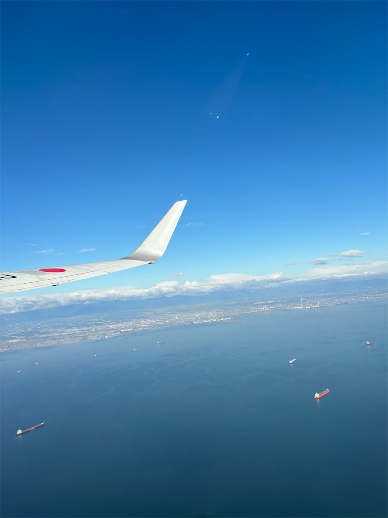 f:id:chee-tama:20231126235128j:image