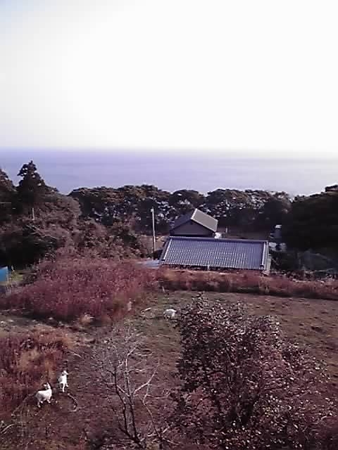 f:id:cheechoff:20170328074141j:plain