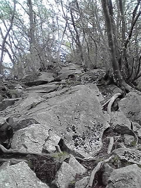 f:id:cheechoff:20170425212244j:plain