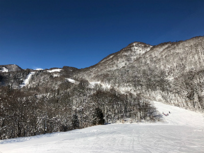 f:id:cheechoff:20190106174204j:plain