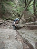 f:id:cheejpn:20080913141538j:image