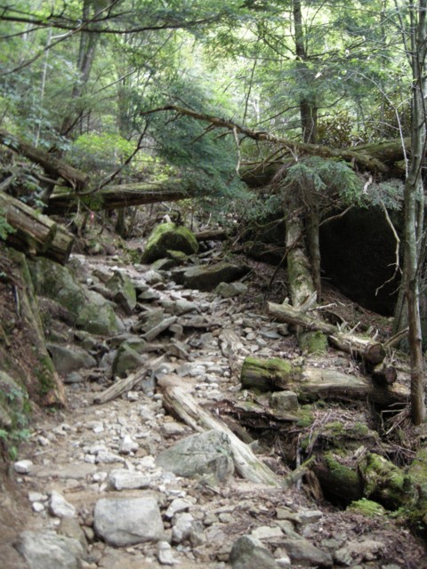 f:id:cheejpn:20080913142039j:image:h400