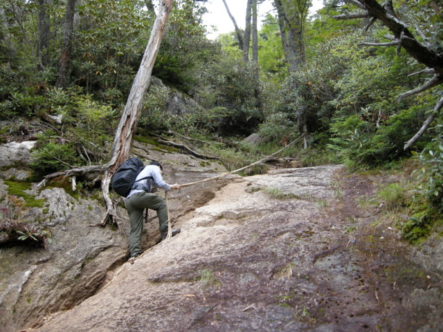 f:id:cheejpn:20080914074145j:image:w400