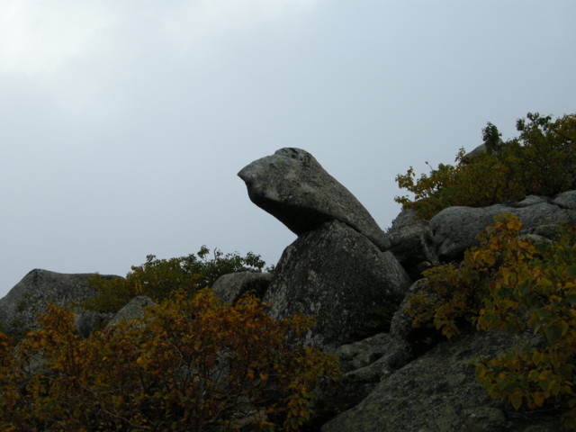 f:id:cheejpn:20080914100122j:image:w400