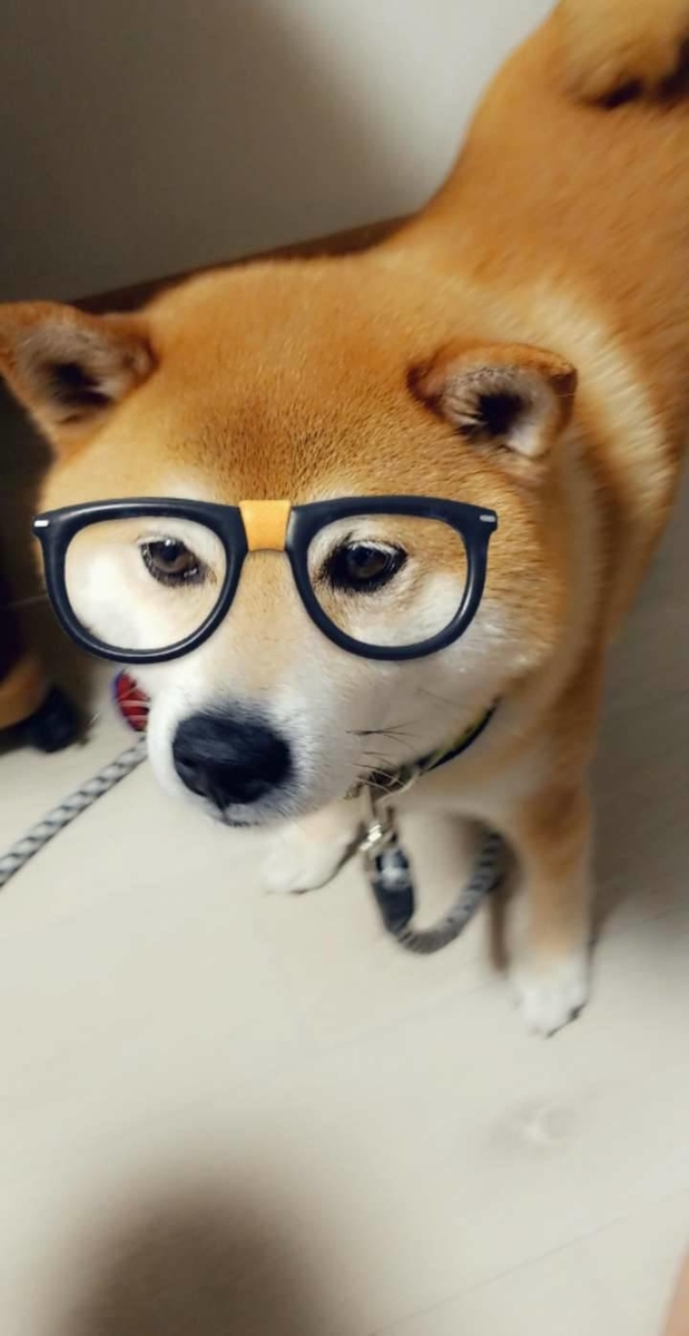 f:id:cheerful2020:20210328113647j:plain