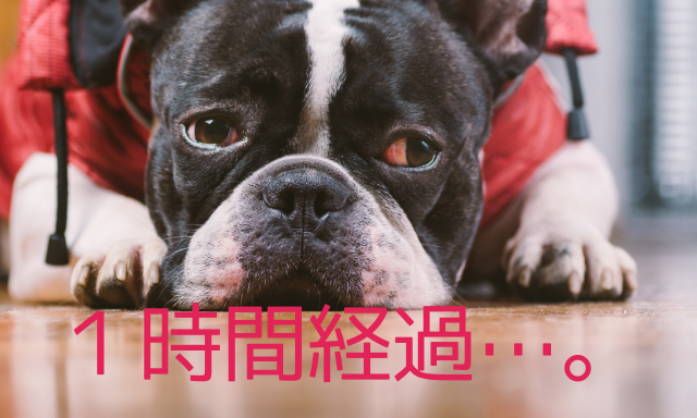 f:id:cheerfuldays:20190622132737p:plain