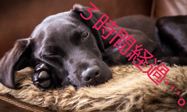 f:id:cheerfuldays:20190622134031p:plain