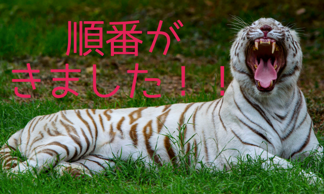f:id:cheerfuldays:20190622134525p:plain