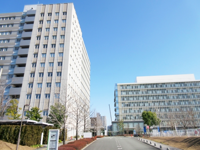 f:id:cheerfuldays:20190713095055j:plain
