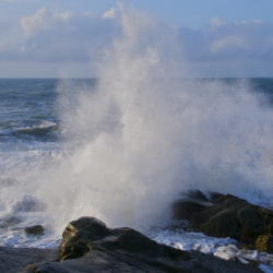 f:id:cheering_small_shops:20170310135229j:plain